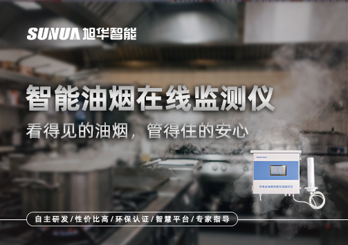 智能油烟在线监测仪：看得见的油烟，管得住的安心